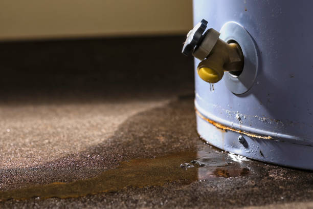 Best Water damage cleanup near me  in Rancho Tehama Reserve, CA