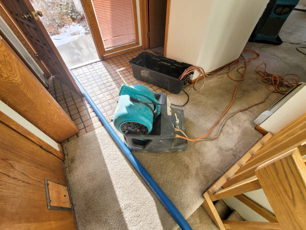 Best Water damage cleanup near me  in Rancho Tehama Reserve, CA