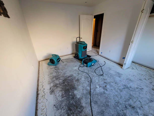 Best 24/7 water damage repair  in Rancho Tehama Reserve, CA