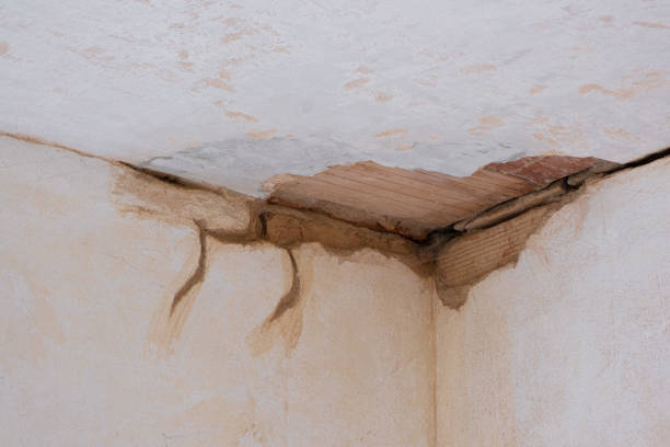 Best Flood damage cleanup  in Rancho Tehama Reserve, CA