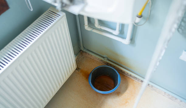 Best Ceiling water damage repair  in Rancho Tehama Reserve, CA