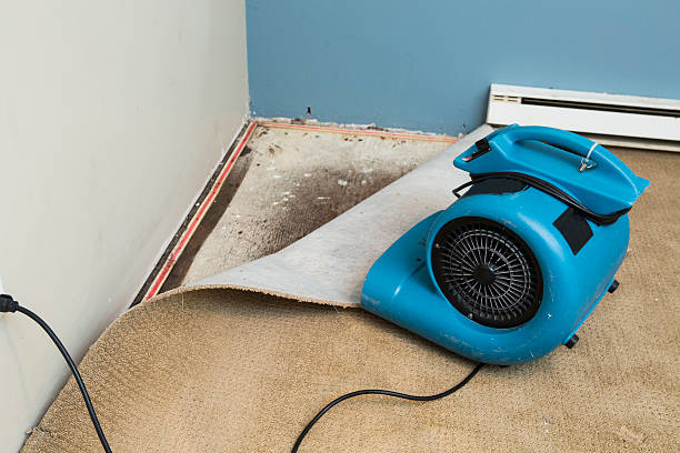 Best Emergency water damage restoration  in Rancho Tehama Reserve, CA